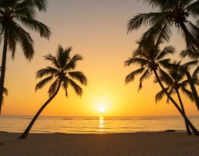 The Most Beautiful Beaches
